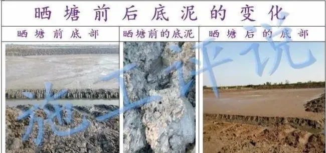 清塘虽然麻烦但效果很彻底，养殖户不能太依赖底改调水产品