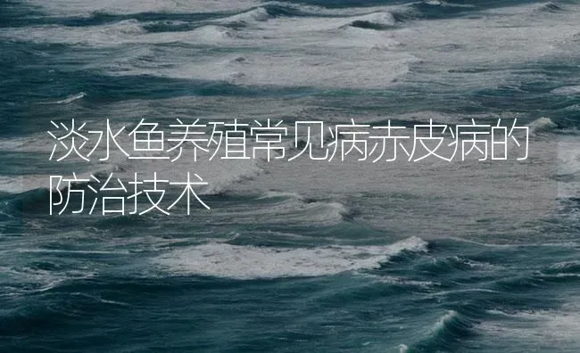 淡水鱼养殖常见病赤皮病的防治技术 | 养殖病虫害防治