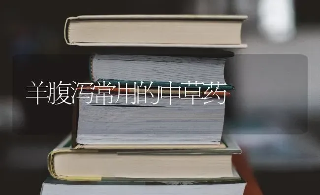 羊腹泻常用的中草药 | 养殖病虫害防治