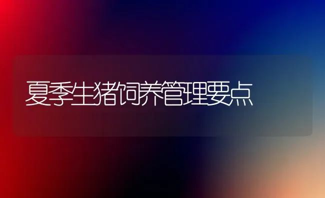 夏季生猪饲养管理要点 | 家畜养殖