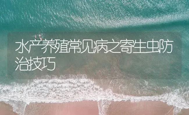 水产养殖常见病之寄生虫防治技巧 | 养殖病虫害防治