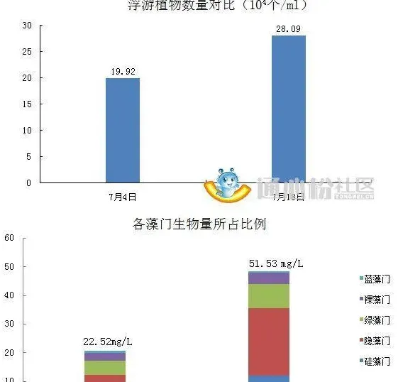 鲫鱼养殖池塘调水四部曲(内附详细步骤)