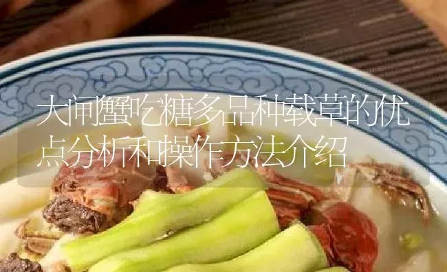 大闸蟹吃糖多品种载草的优点分析和操作方法介绍 | 淡水养殖