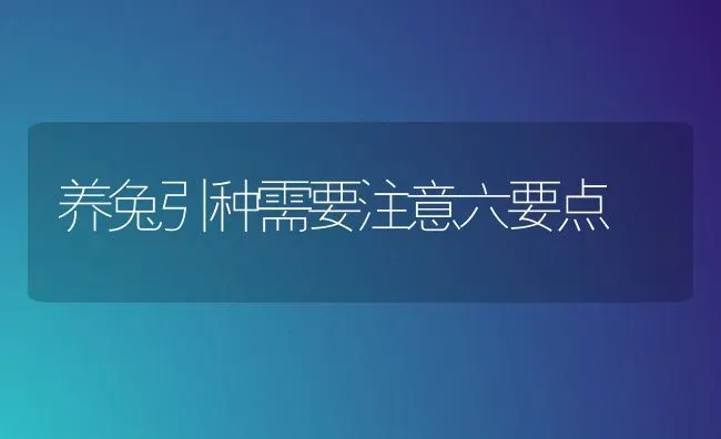 养兔引种需要注意六要点 | 家畜养殖