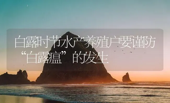 白露时节水产养殖户要谨防“白露瘟”的发生 | 养殖病虫害防治