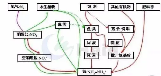 虾苗发白、漂苗、掉苗频发，是什么原因让南美白对虾越来越难养？