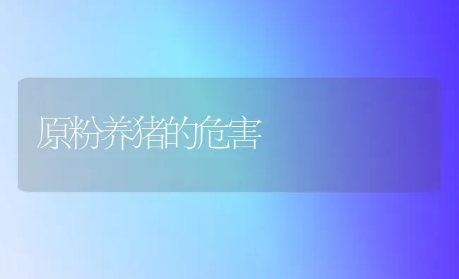 原粉养猪的危害 | 家畜养殖