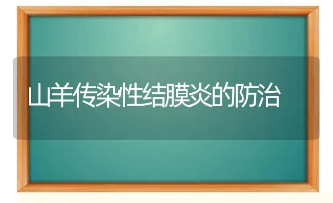 山羊传染性结膜炎的防治 | 家畜养殖