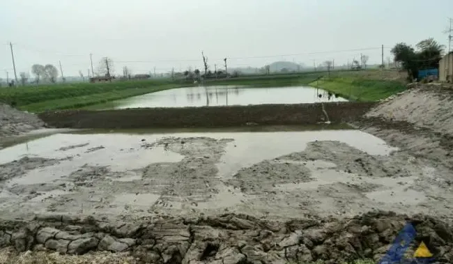 冬季池塘管理之清塘篇