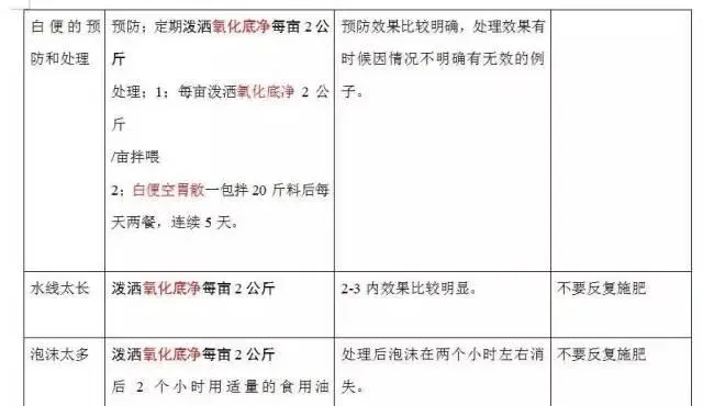 护肝是养殖南美白对虾“省料快大”之本