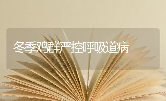 冬季鸡群严控呼吸道病 | 家禽养殖