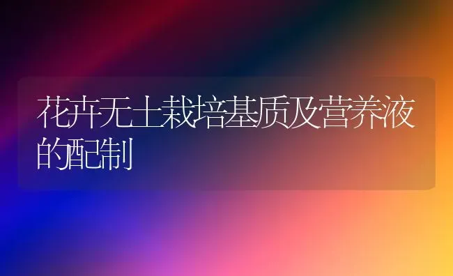 水禽新品种——Z型北京鸭 | 家禽养殖