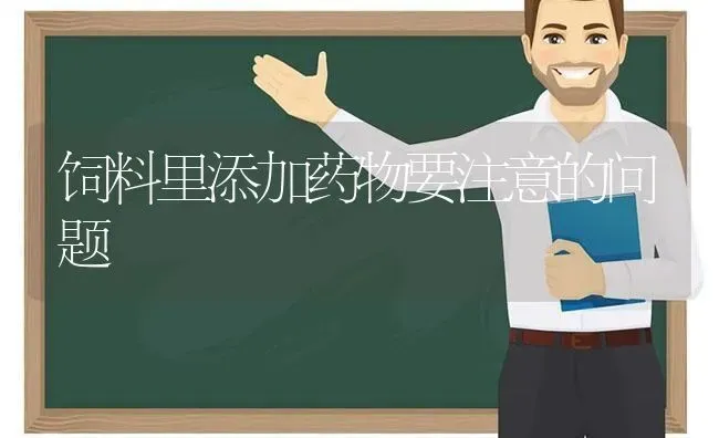 饲料里添加药物要注意的问题 | 养殖病虫害防治