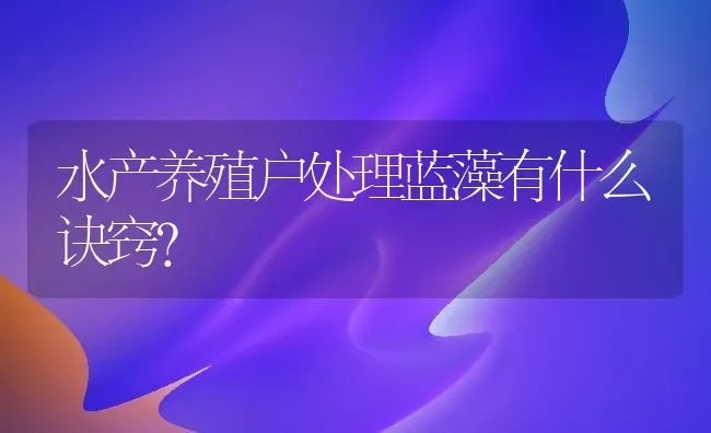 水产养殖户处理蓝藻有什么诀窍？ | 动物养殖百科