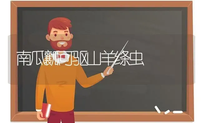 南瓜瓤可驱山羊绦虫 | 家畜养殖