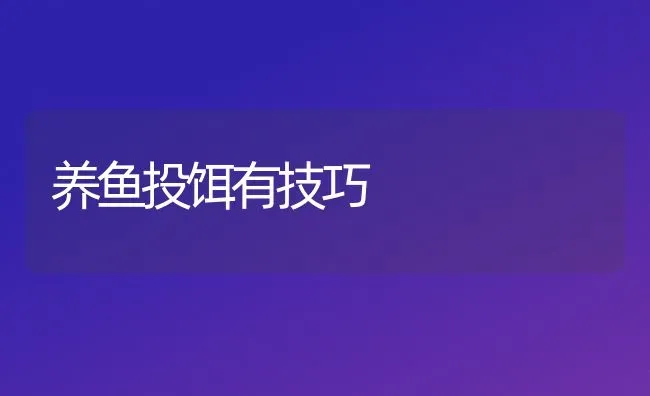 养鱼投饵有技巧 | 淡水养殖