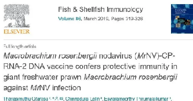 论文解读：FSI，突破：罗氏沼虾白尾病DNA疫苗