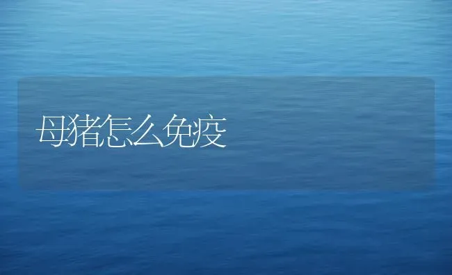 母猪怎么免疫 | 家畜养殖