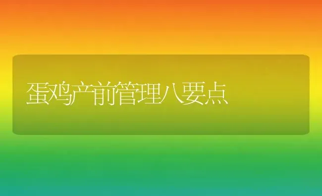蛋鸡产前管理八要点 | 家禽养殖