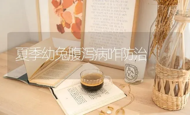 夏季幼兔腹泻病咋防治 | 家畜养殖