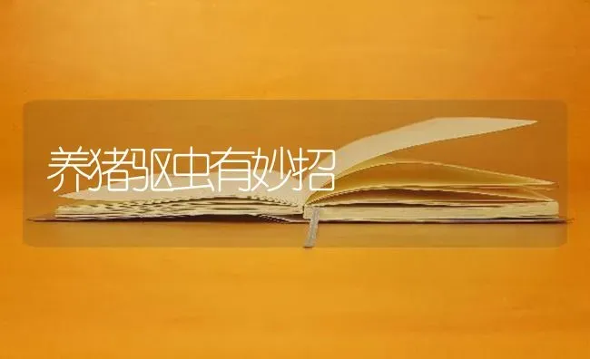 养猪驱虫有妙招 | 家畜养殖