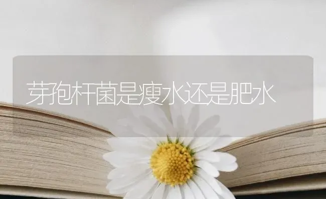 芽孢杆菌是瘦水还是肥水 | 动物养殖百科