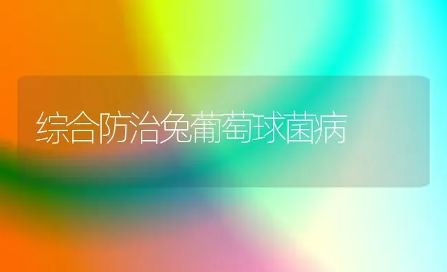 综合防治兔葡萄球菌病 | 家畜养殖