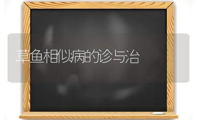 草鱼相似病的诊与治 | 淡水养殖