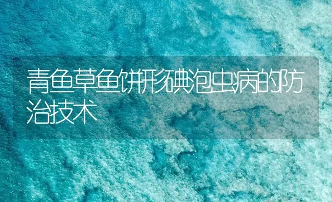 青鱼草鱼饼形碘泡虫病的防治技术 | 养殖病虫害防治