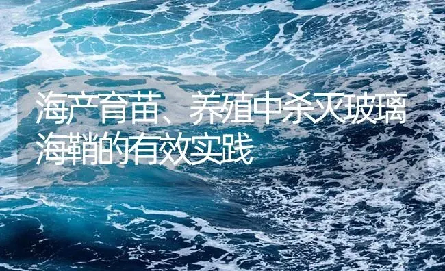 海产育苗、养殖中杀灭玻璃海鞘的有效实践 | 海水养殖