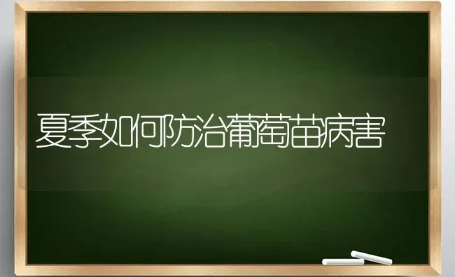 夏季如何防治葡萄苗病害 | 淡水养殖