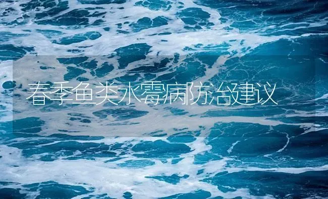 春季鱼类水霉病防治建议 | 养殖病虫害防治