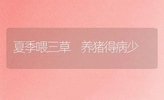 夏季喂三草 养猪得病少 | 家畜养殖
