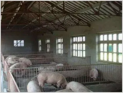 混饮给药治猪病要注意的10个问题 | 养殖常识