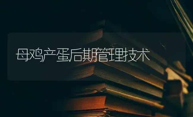 母鸡产蛋后期管理技术 | 家禽养殖
