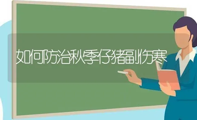 如何防治秋季仔猪副伤寒 | 家畜养殖