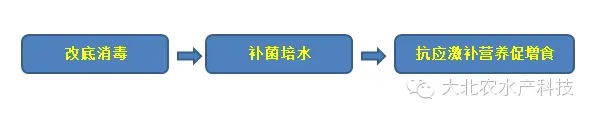 大北农神爽养虾增料解决方案