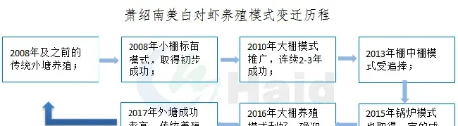 虾苗发白、漂苗、掉苗频发，是什么原因让南美白对虾越来越难养？