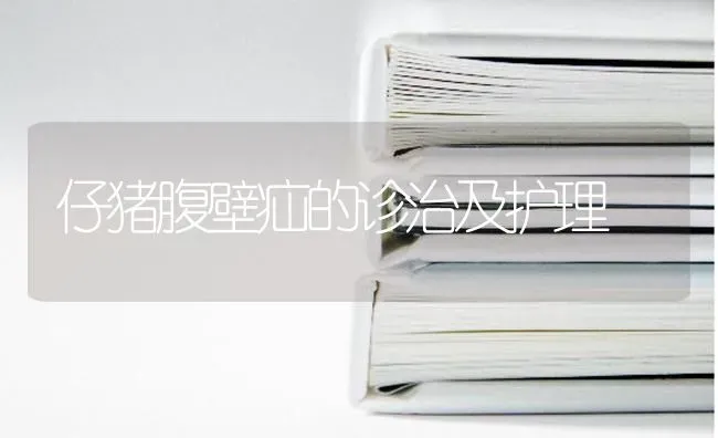 仔猪腹壁疝的诊治及护理 | 家畜养殖