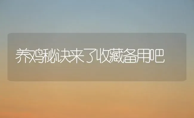 养鸡秘诀来了收藏备用吧 | 家禽养殖