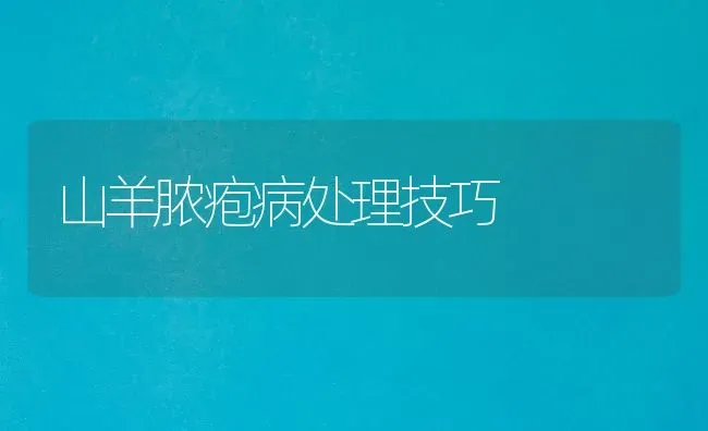 山羊脓疱病处理技巧 | 家畜养殖