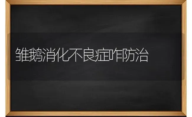 雏鹅消化不良症咋防治 | 家禽养殖