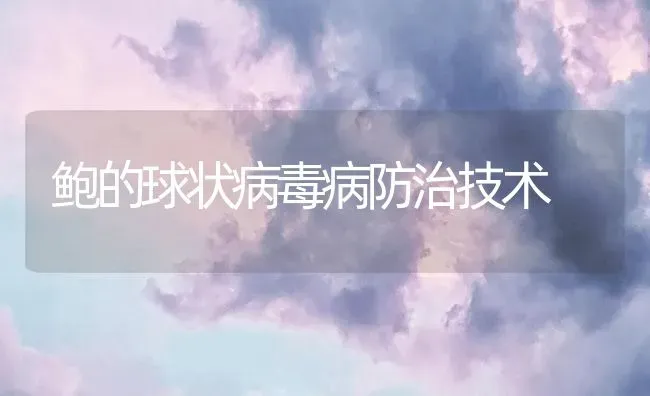鲍的球状病毒病防治技术 | 海水养殖