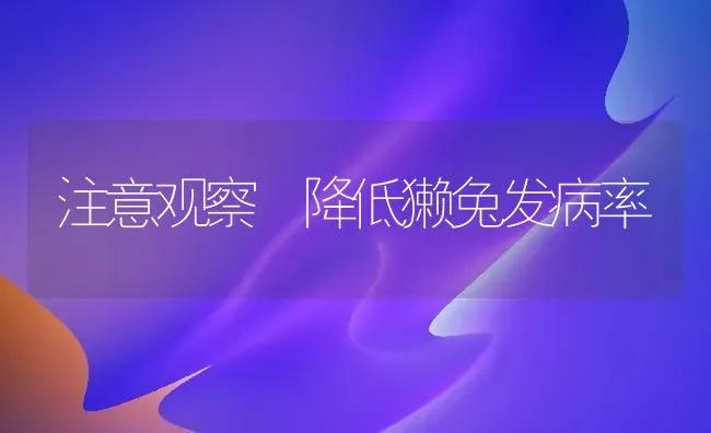 注意观察 降低獭兔发病率 | 家畜养殖