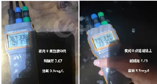 南美白对虾+非洲斑节对虾两造虾模式，让养殖稳定盈利！“黑”金刚苗期攻略，请收好！