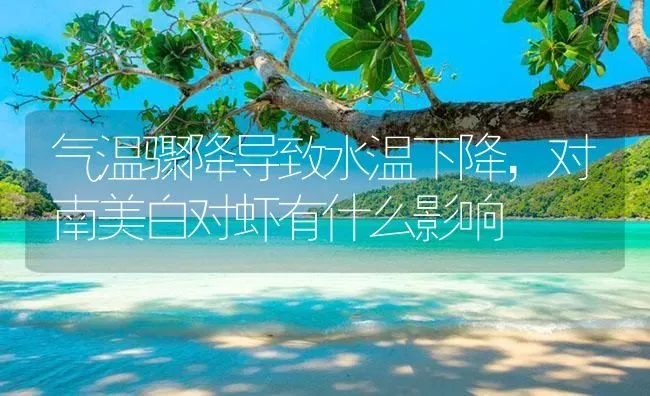 气温骤降导致水温下降，对南美白对虾有什么影响 | 海水养殖