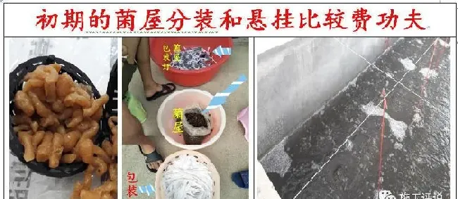 养殖户拼命泼洒微生物或在水中无限培养微生物，不一定是好事！