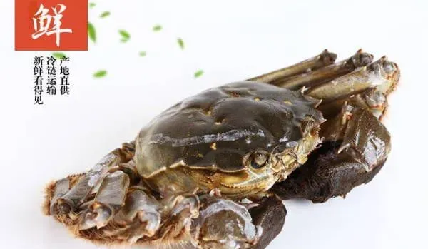 【螃蟹的营养价值】细述秋季食用蟹三大好处