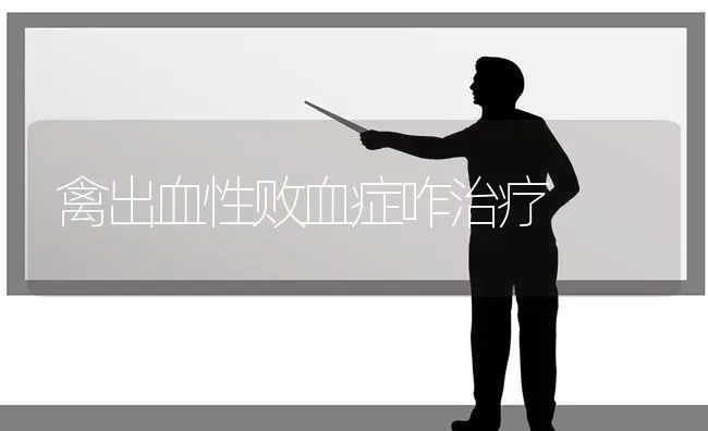 禽出血性败血症咋治疗 | 家禽养殖