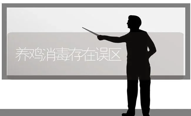 养鸡消毒存在误区 | 家禽养殖